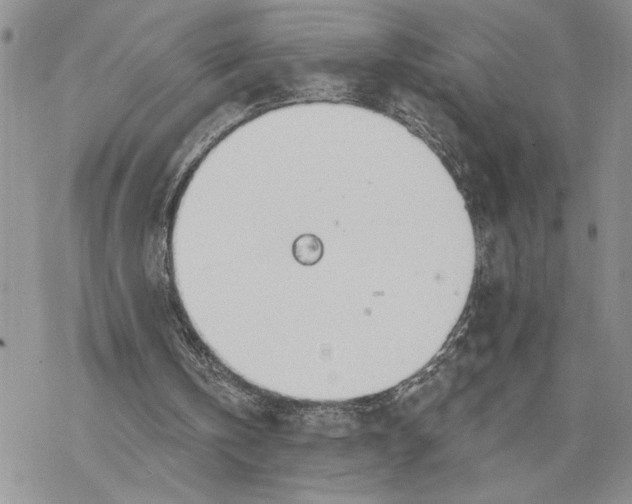 X0000078230146200611251222