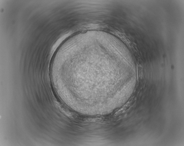 X0000078230147200611251222