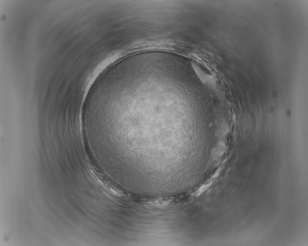 X0000078230148200611251222