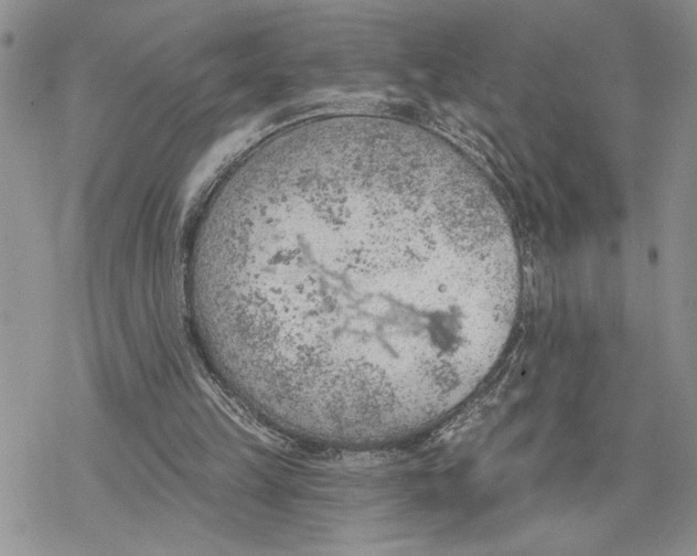 X0000078230149200611251222