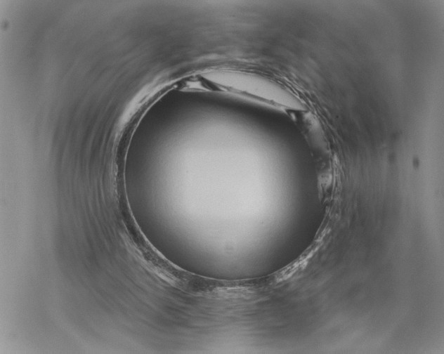 X0000078230150200611251222