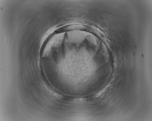 X0000078230152200611251222