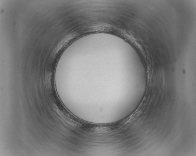 X0000078230154200611251222