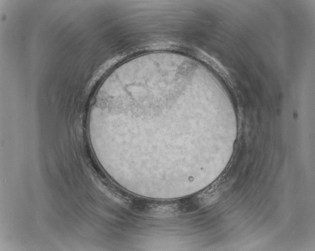 X0000078230155200611251223