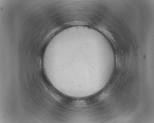 X0000078230157200611251223