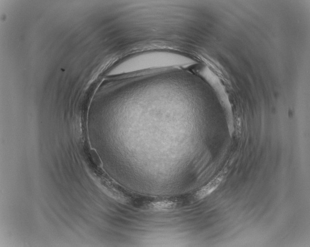 X0000078230158200611251223