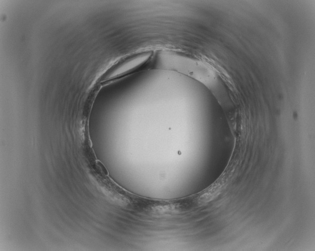 X0000078230160200611251223