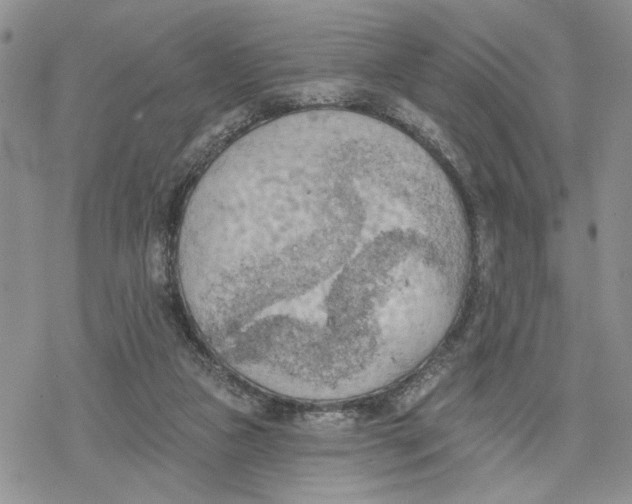 X0000078230161200611251223