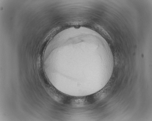 X0000078230163200611251223