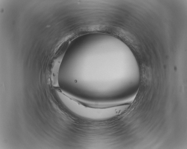 X0000078230164200611251223