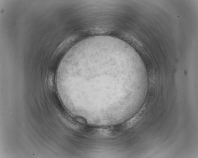 X0000078230166200611251223