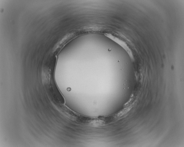 X0000078230168200611251223