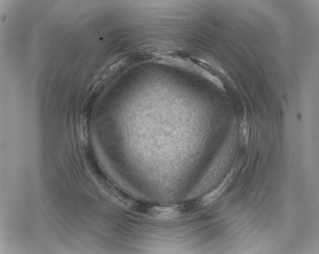 X0000078230170200611251223