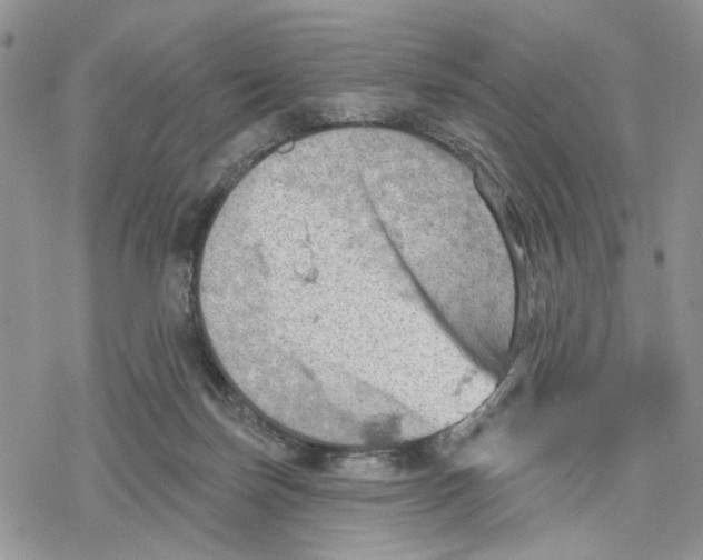 X0000078230171200611251223