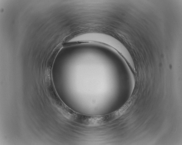 X0000078230172200611251223