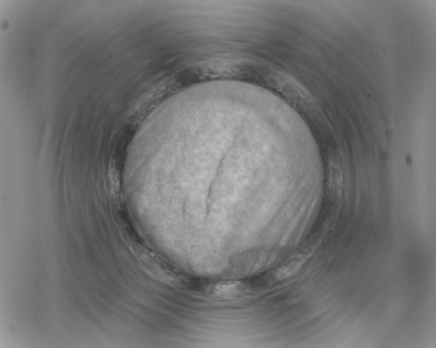 X0000078230173200611251223