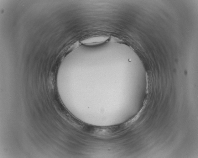 X0000078230174200611251223