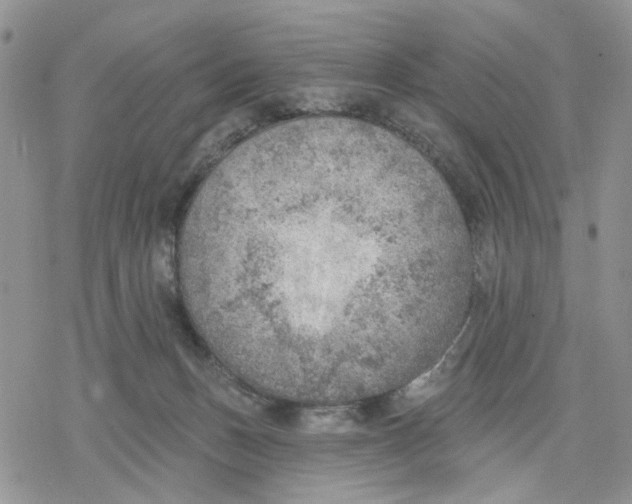 X0000078230175200611251223