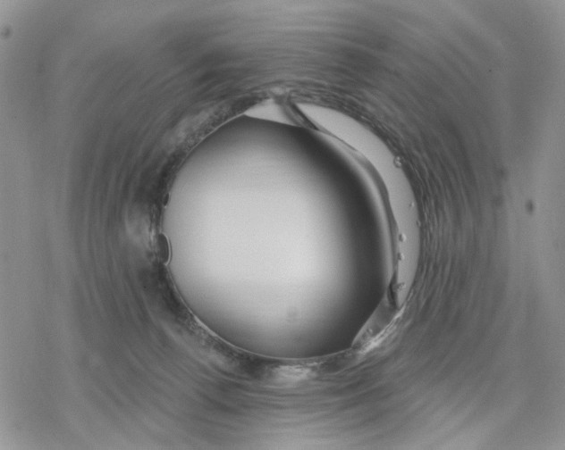 X0000078230176200611251223