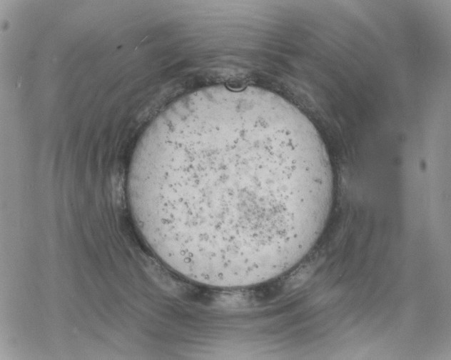 X0000078230177200611251223