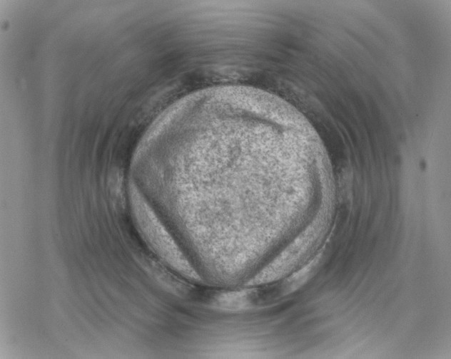 X0000078230178200611251223