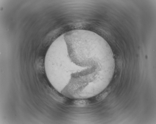 X0000078230181200611251223