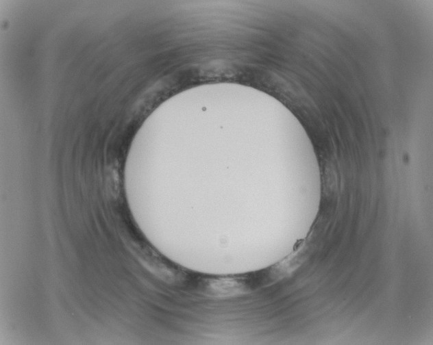 X0000078230183200611251223