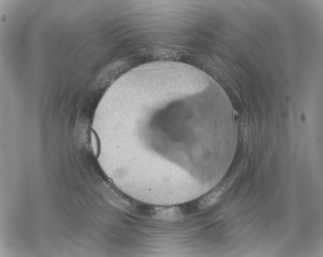 X0000078230185200611251223