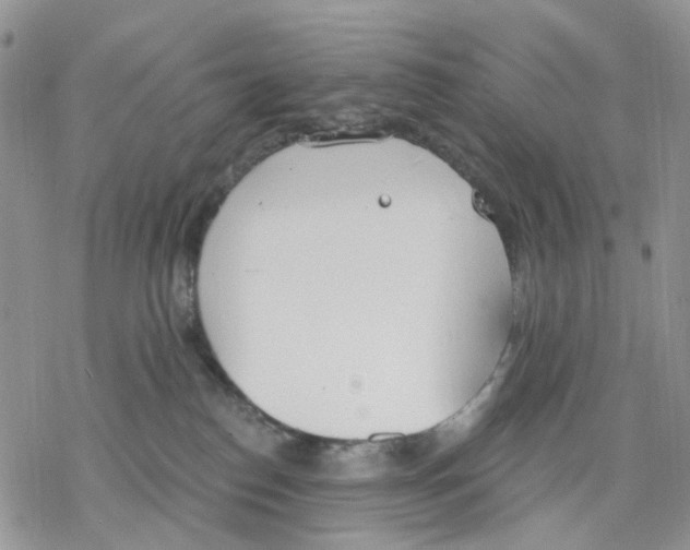 X0000078230186200611251223