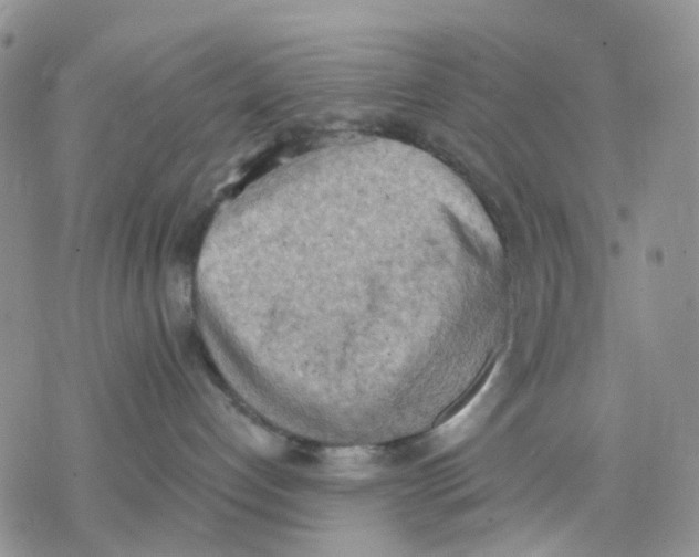 X0000078230192200611251223