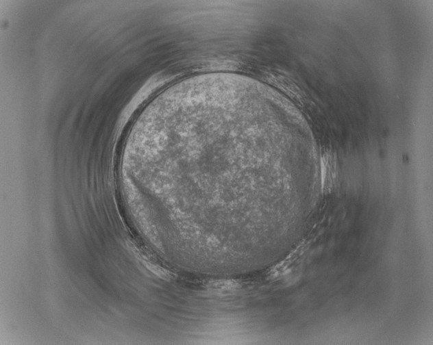 X0000078230195200611251222