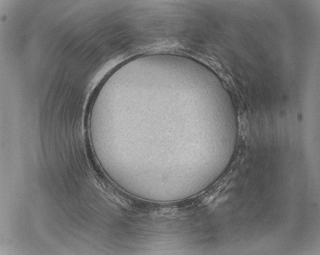 X0000078230196200611251222