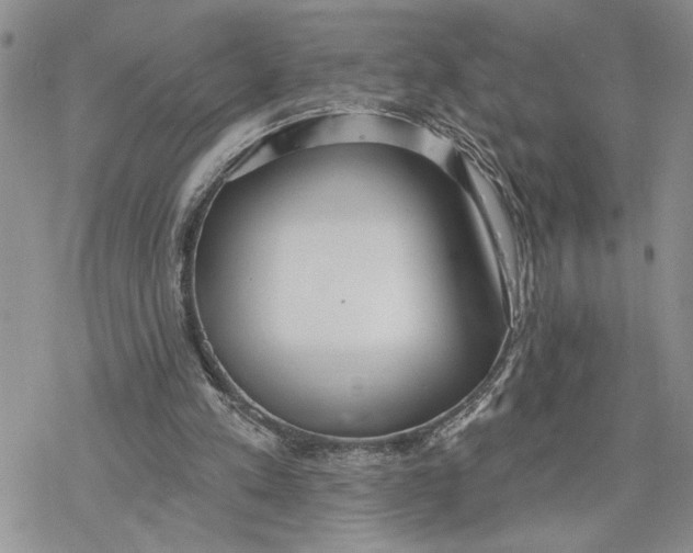 X0000078230197200611251222