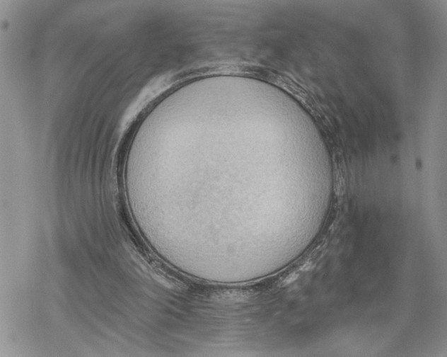 X0000078230198200611251222