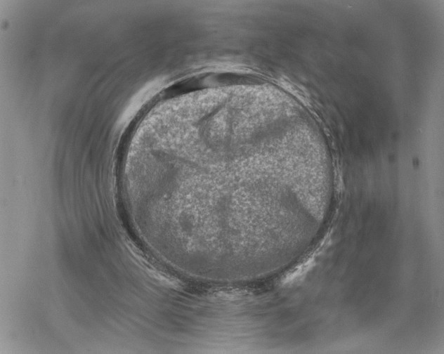 X0000078230199200611251222