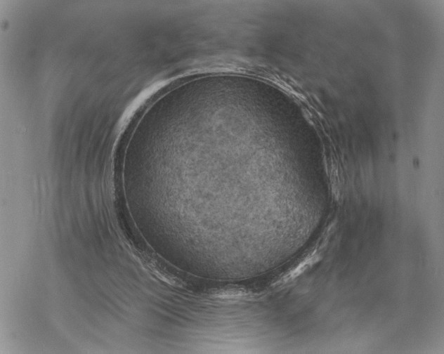 X0000078230200200611251222