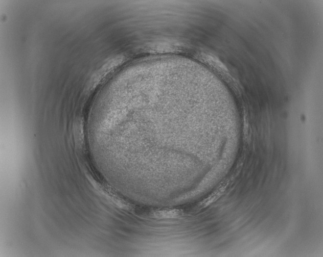 X0000078230202200611251222