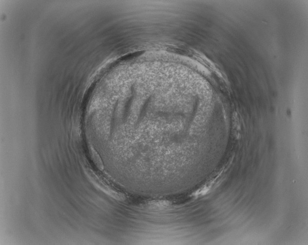 X0000078230203200611251222