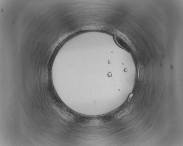 X0000078230204200611251222