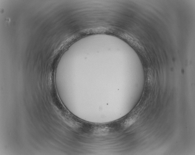 X0000078230206200611251222