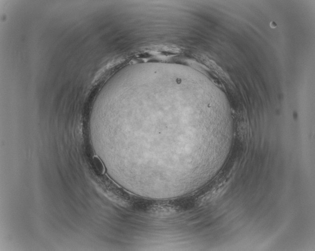 X0000078230207200611251222