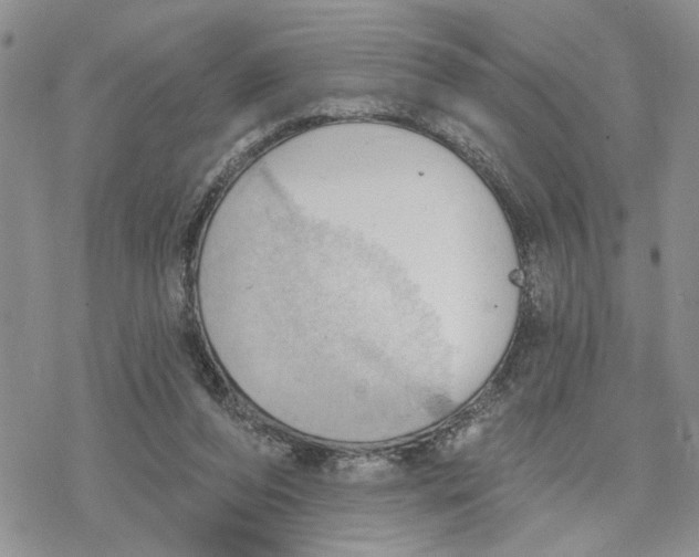 X0000078230208200611251222