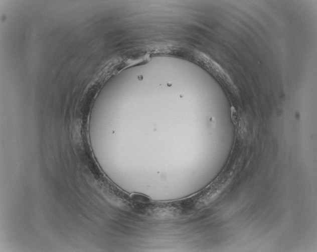 X0000078230209200611251222