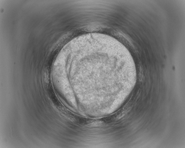 X0000078230210200611251222