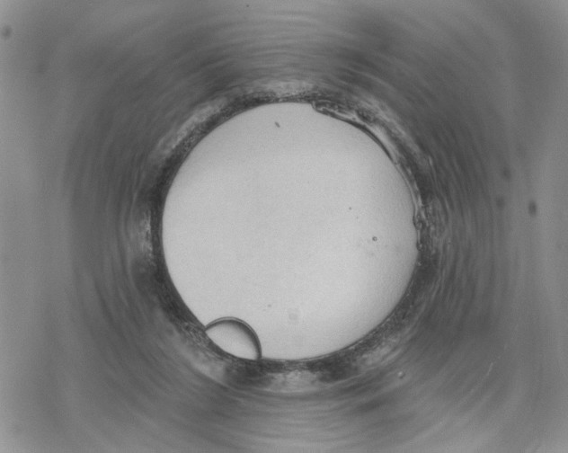 X0000078230212200611251222