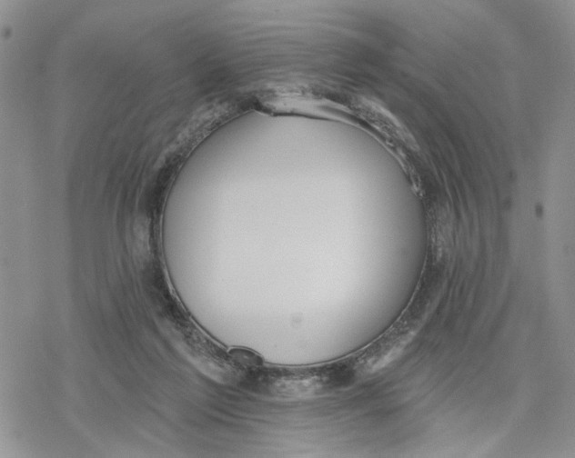 X0000078230213200611251222