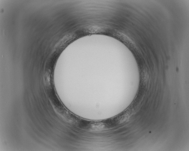 X0000078230214200611251222