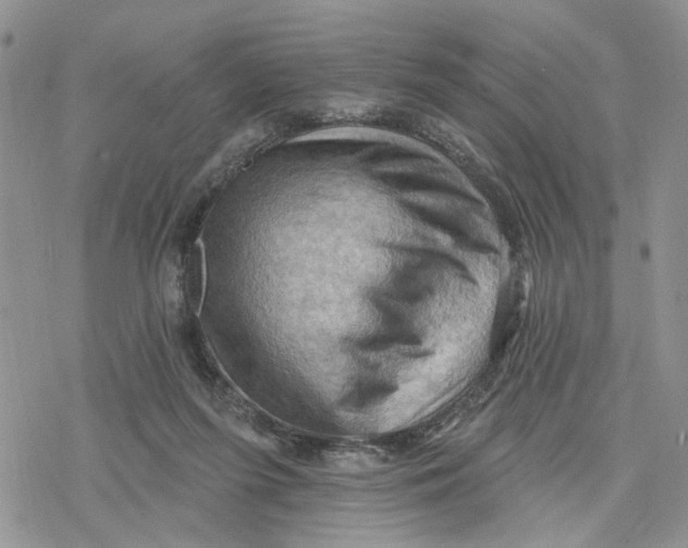 X0000078230215200611251222