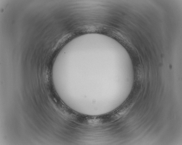 X0000078230216200611251222