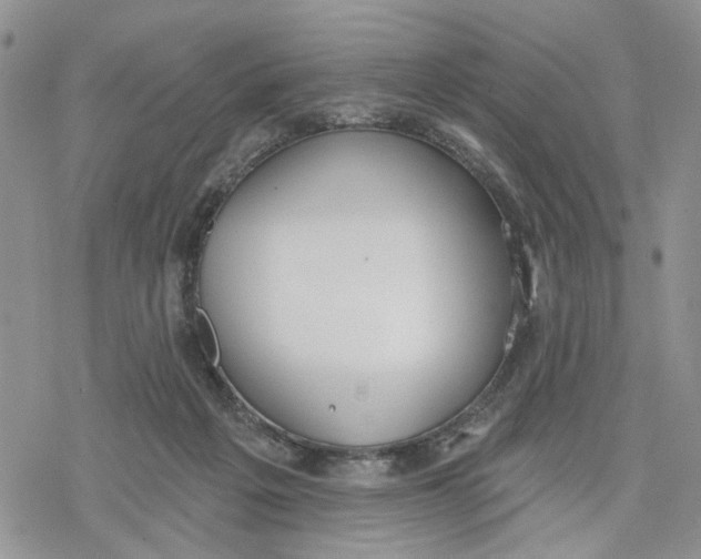 X0000078230217200611251222